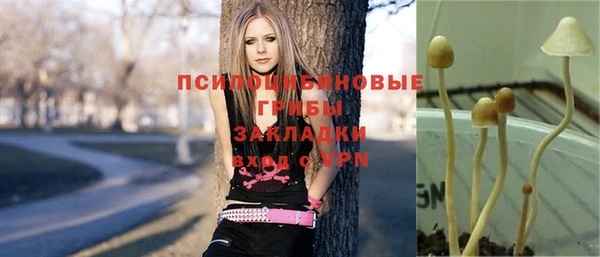 крисы Медвежьегорск