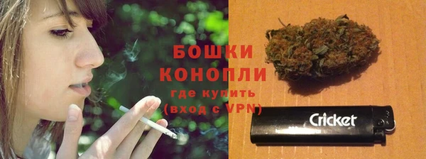 твердый Мегион