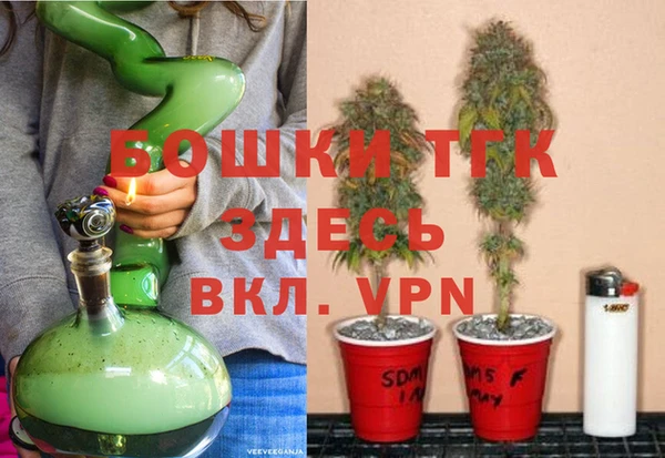 крисы Медвежьегорск
