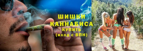 крисы Медвежьегорск
