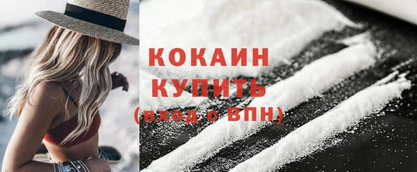 твердый Мегион