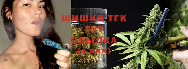 тгк Медногорск